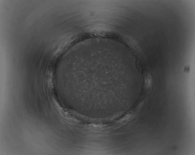 X0000110711060200906261426