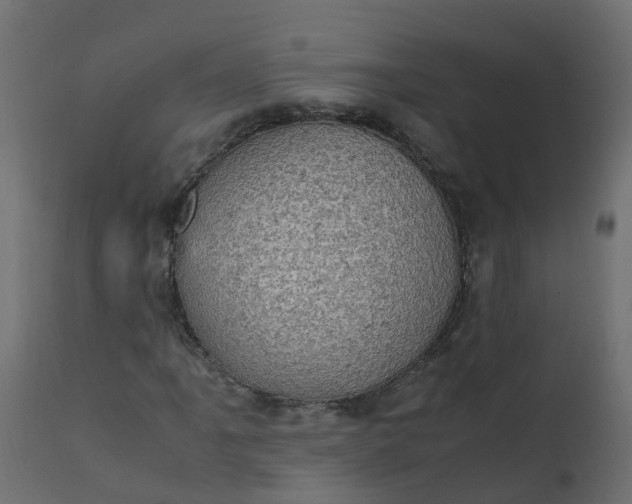 X0000110711061200906261426