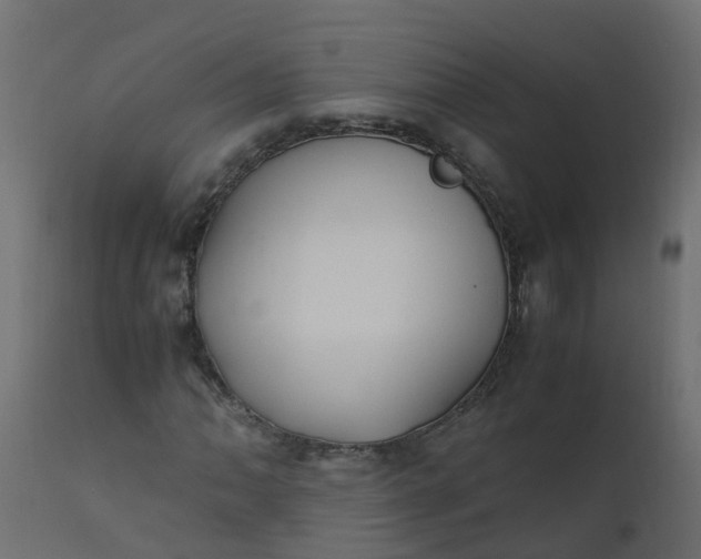 X0000110711062200906261426