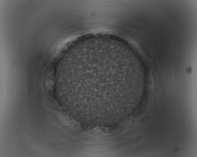 X0000110711063200906261426