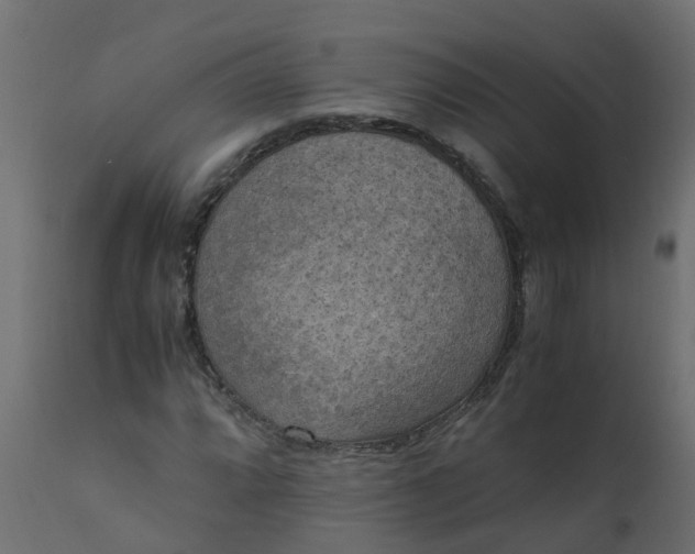X0000110711064200906261426