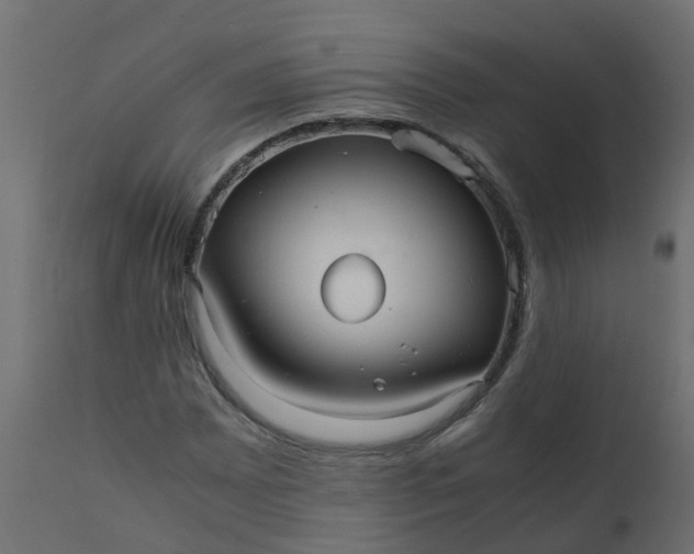 X0000110711065200906261426