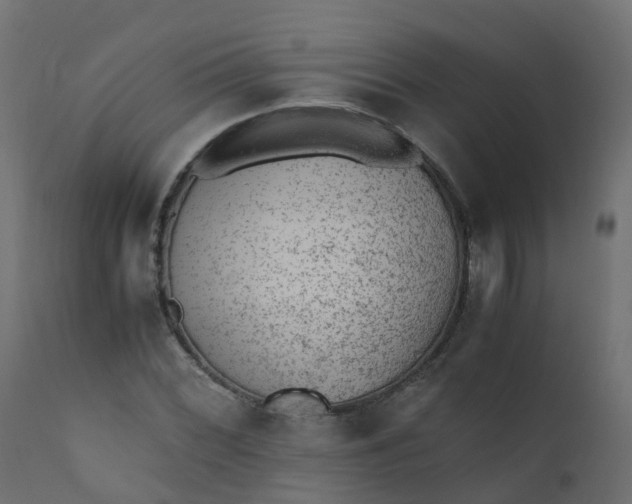 X0000110711068200906261426