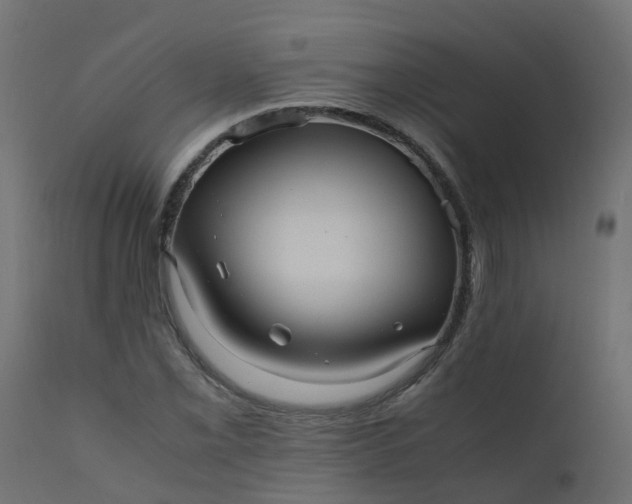 X0000110711069200906261426