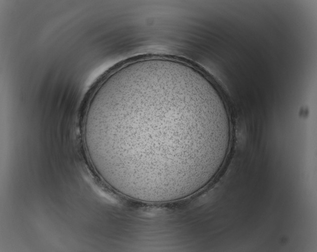 X0000110711070200906261426