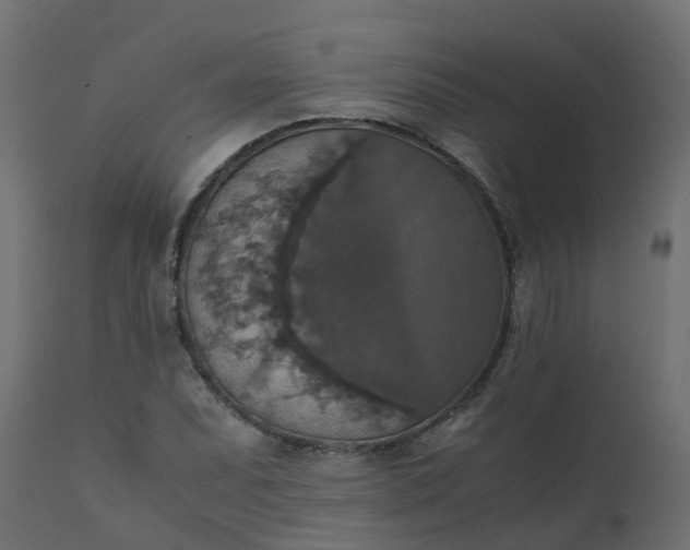 X0000110711071200906261426