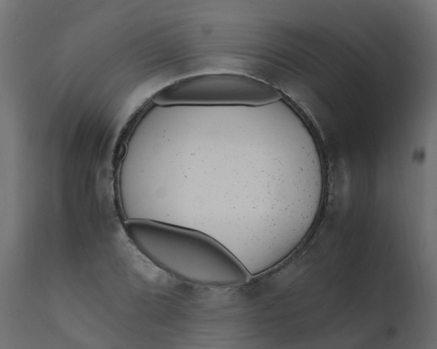 X0000110711072200906261426