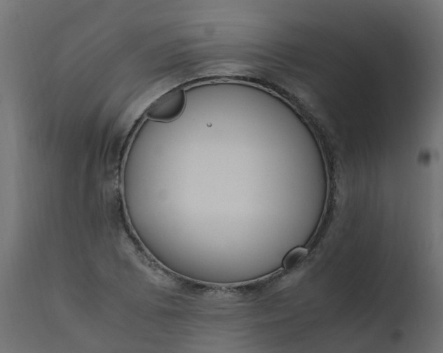 X0000110711073200906261426