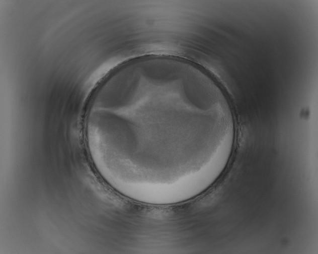 X0000110711074200906261426