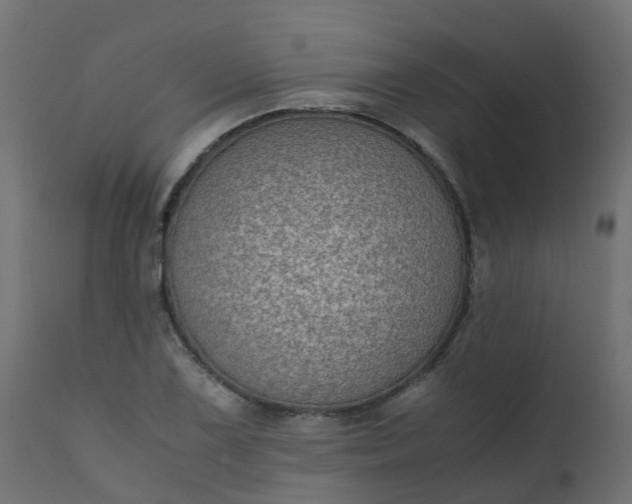 X0000110711075200906261426