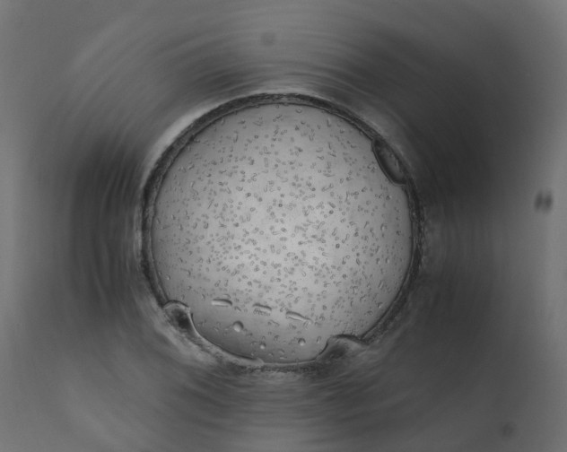 X0000110711076200906261426