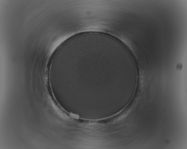 X0000110711077200906261426