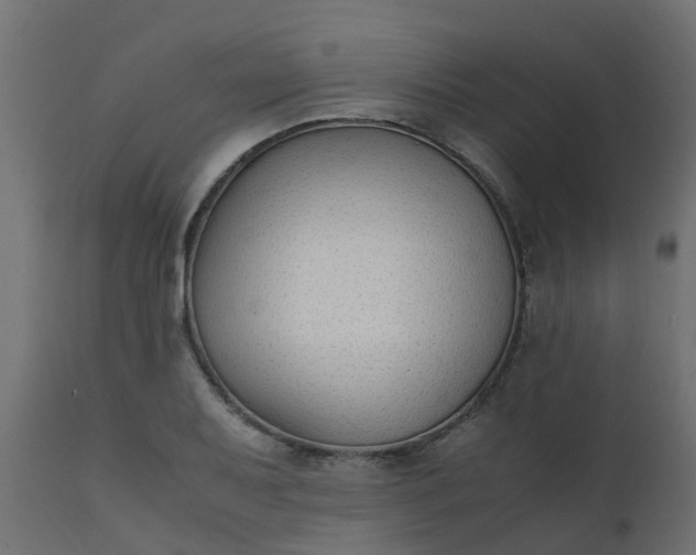 X0000110711079200906261426
