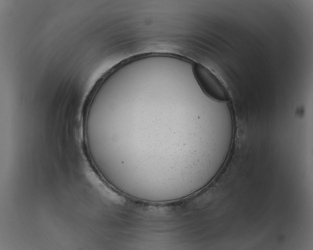 X0000110711080200906261425