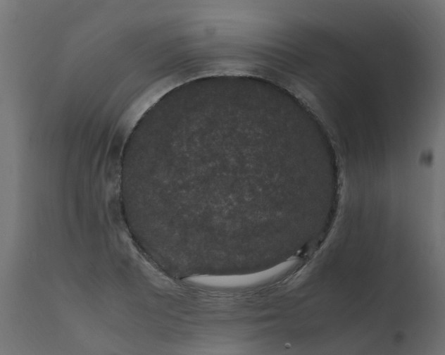 X0000110711081200906261425