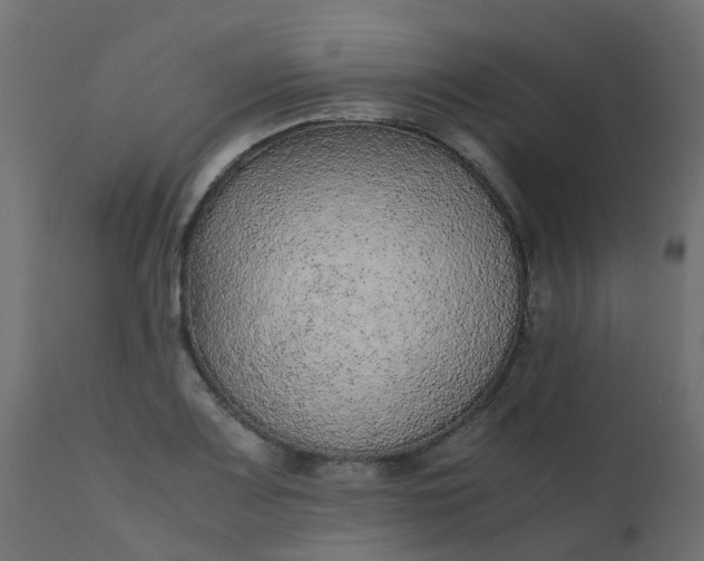 X0000110711083200906261425
