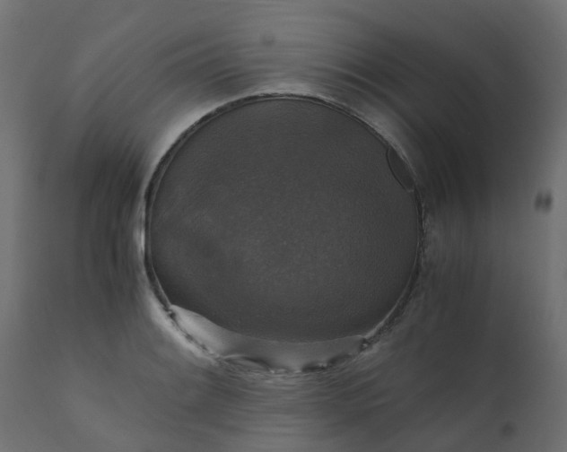 X0000110711084200906261425