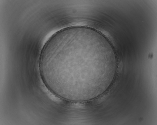 X0000110711086200906261425