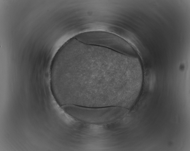 X0000110711088200906261425
