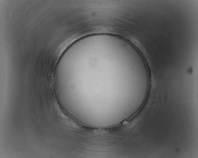 X0000110711089200906261425