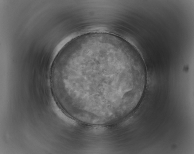 X0000110711090200906261425