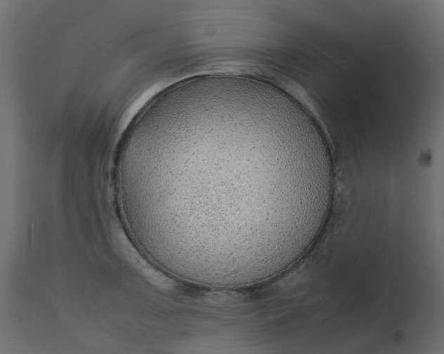 X0000110711091200906261425