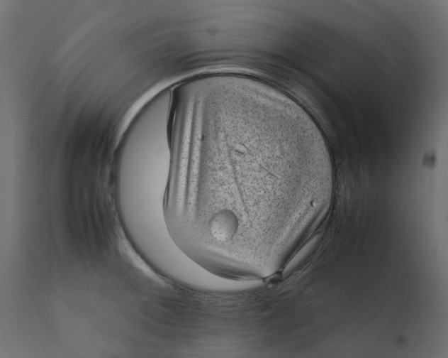 X0000110711092200906261425