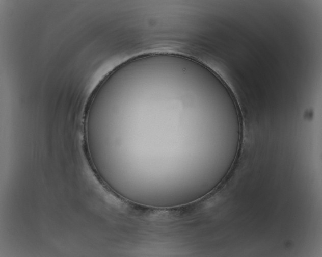 X0000110711093200906261425