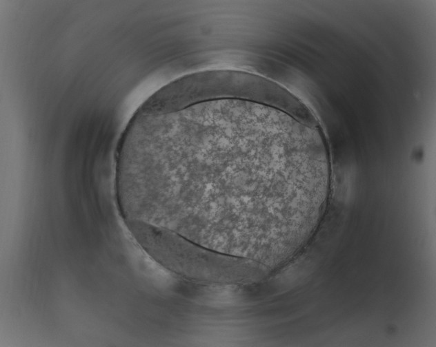 X0000110711096200906261425