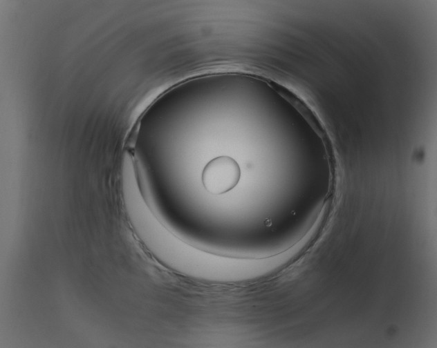 X0000110711097200906261425