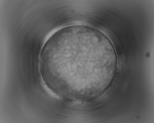 X0000110711098200906261425