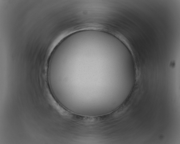 X0000110711099200906261425