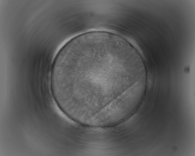 X0000110711100200906261425