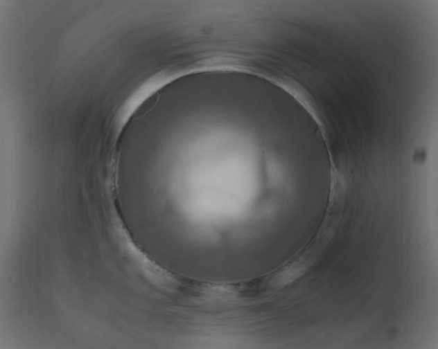 X0000110711101200906261425