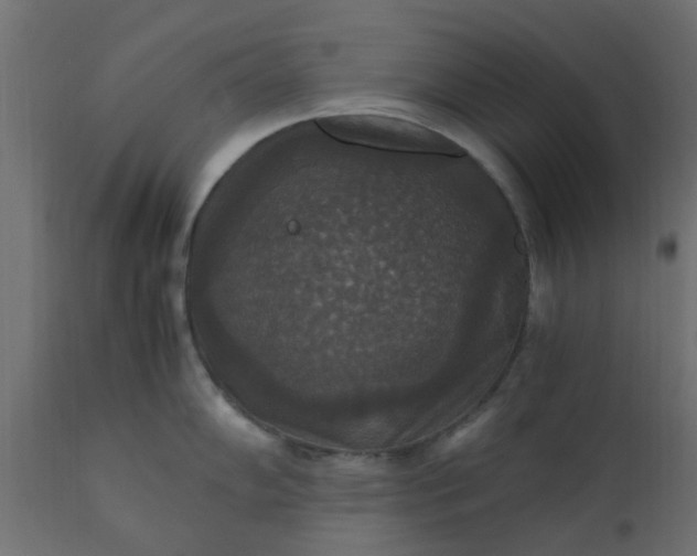 X0000110711102200906261425