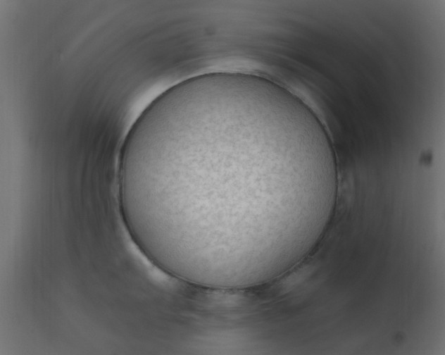 X0000110711103200906261425