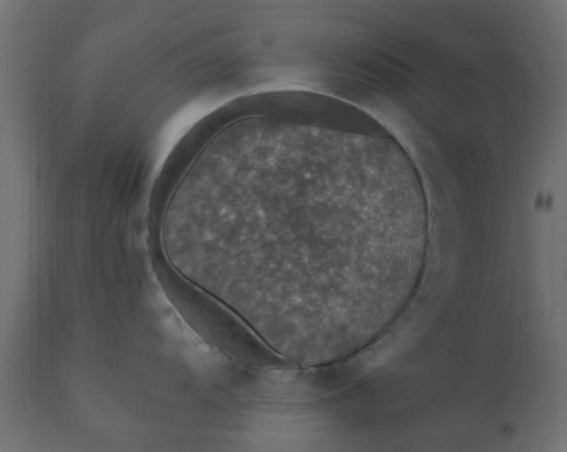 X0000110711104200906261425