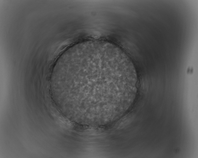 X0000110711105200906261424