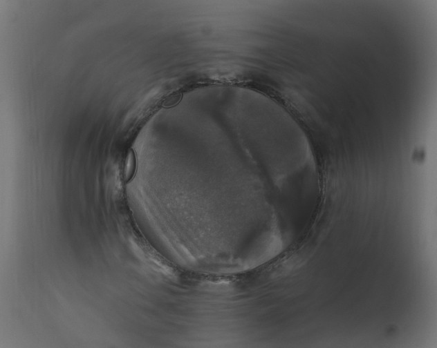 X0000110711106200906261424