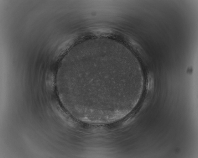 X0000110711108200906261424