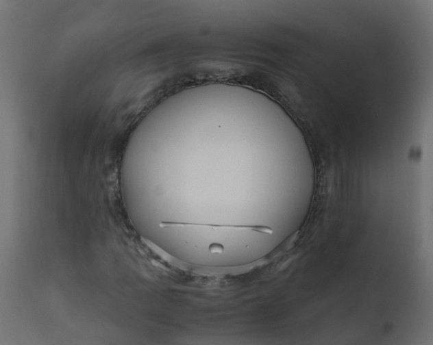 X0000110711109200906261424