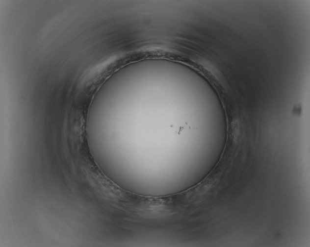 X0000110711111200906261424