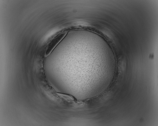 X0000110711112200906261424