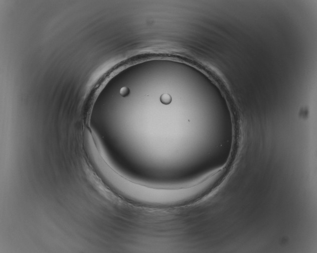 X0000110711114200906261424
