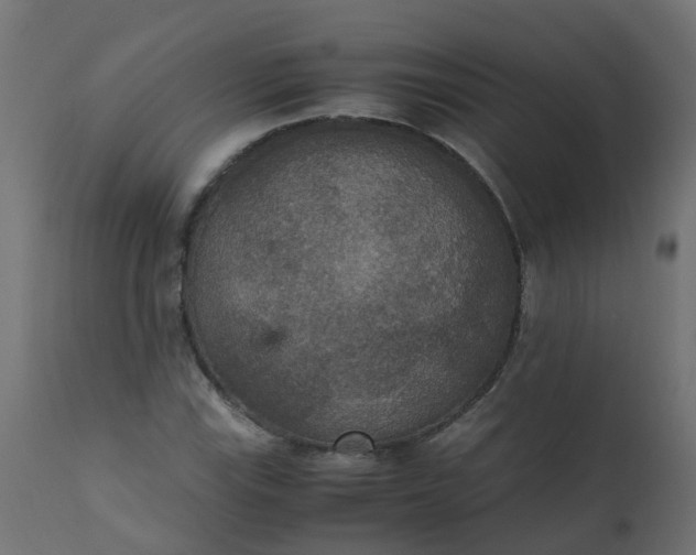X0000110711115200906261424