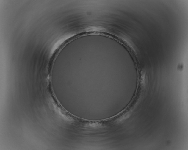 X0000110711117200906261424