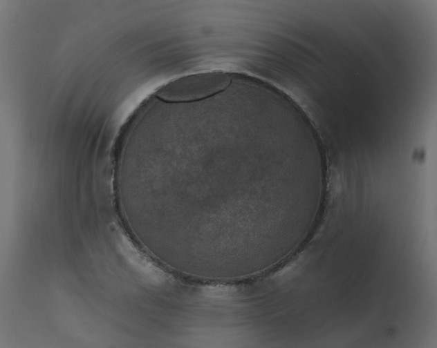 X0000110711118200906261425