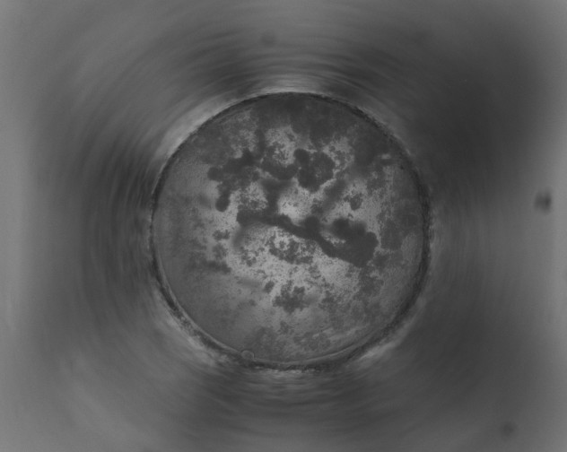 X0000110711121200906261425