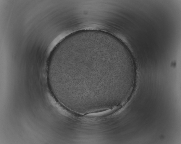 X0000110711122200906261425