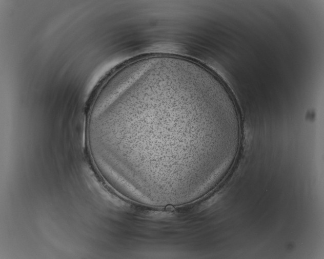 X0000110711123200906261425